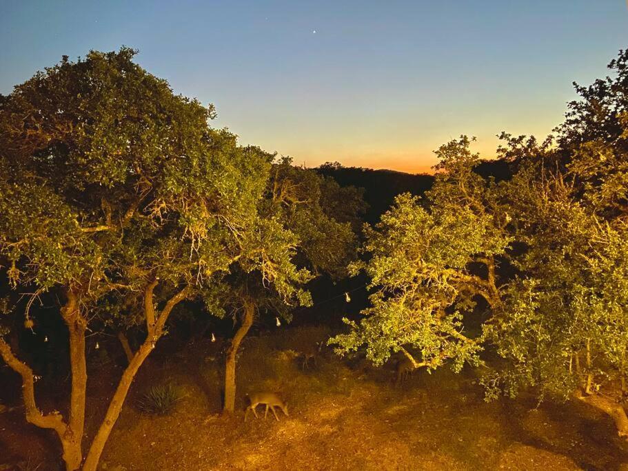 הוילה בנדרה Serene Shores On Medina Lake מראה חיצוני תמונה